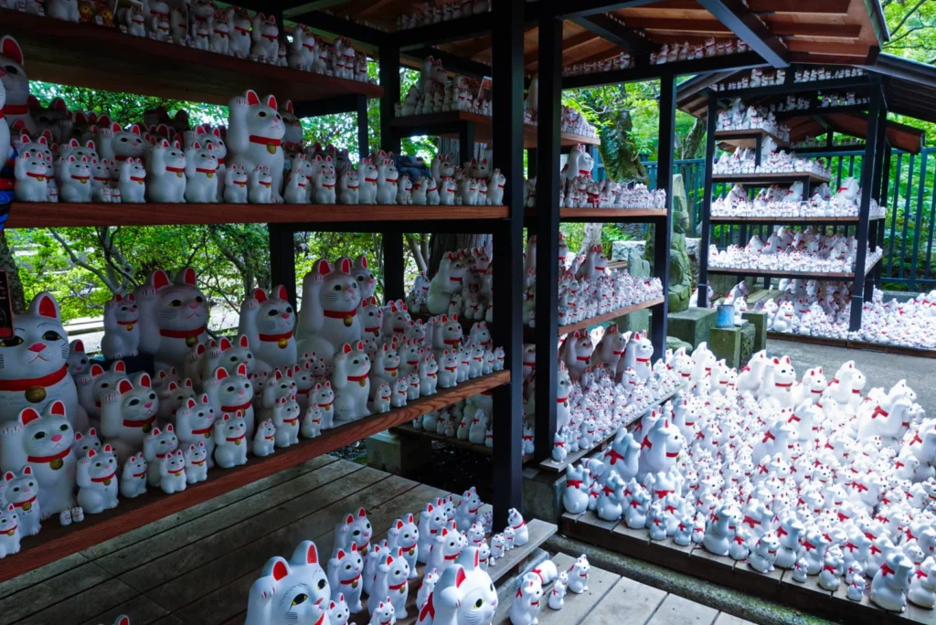 Hundreds of white Maneki-neko lucky cat statues lined up on wooden shelves at Gotokuji temple.