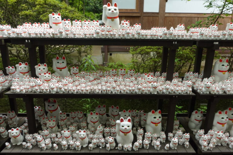 Rows of white maneki-neko lucky cat figures on wooden shelves at Gotokuji Temple