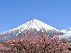 The best time to visit Japan depends on the season — cherry blossom and Mt Fuji in early April