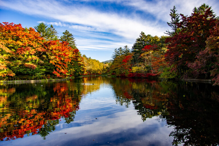 Autumn maples reflected in Kumoba Pond, Karuizawa, an hour from Tokyo on the Tokyo Wide Pass