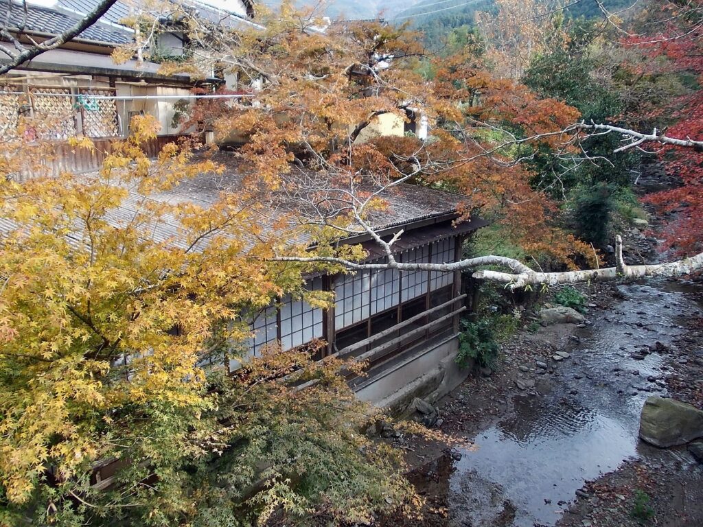 Autumn leaves along the Notori River in Akizuki, Fukuoka, Japan