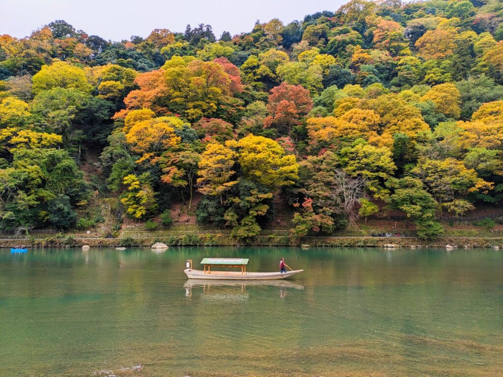 Japan autumn leaves at Arashiyama, Kyoto, with a riverboat