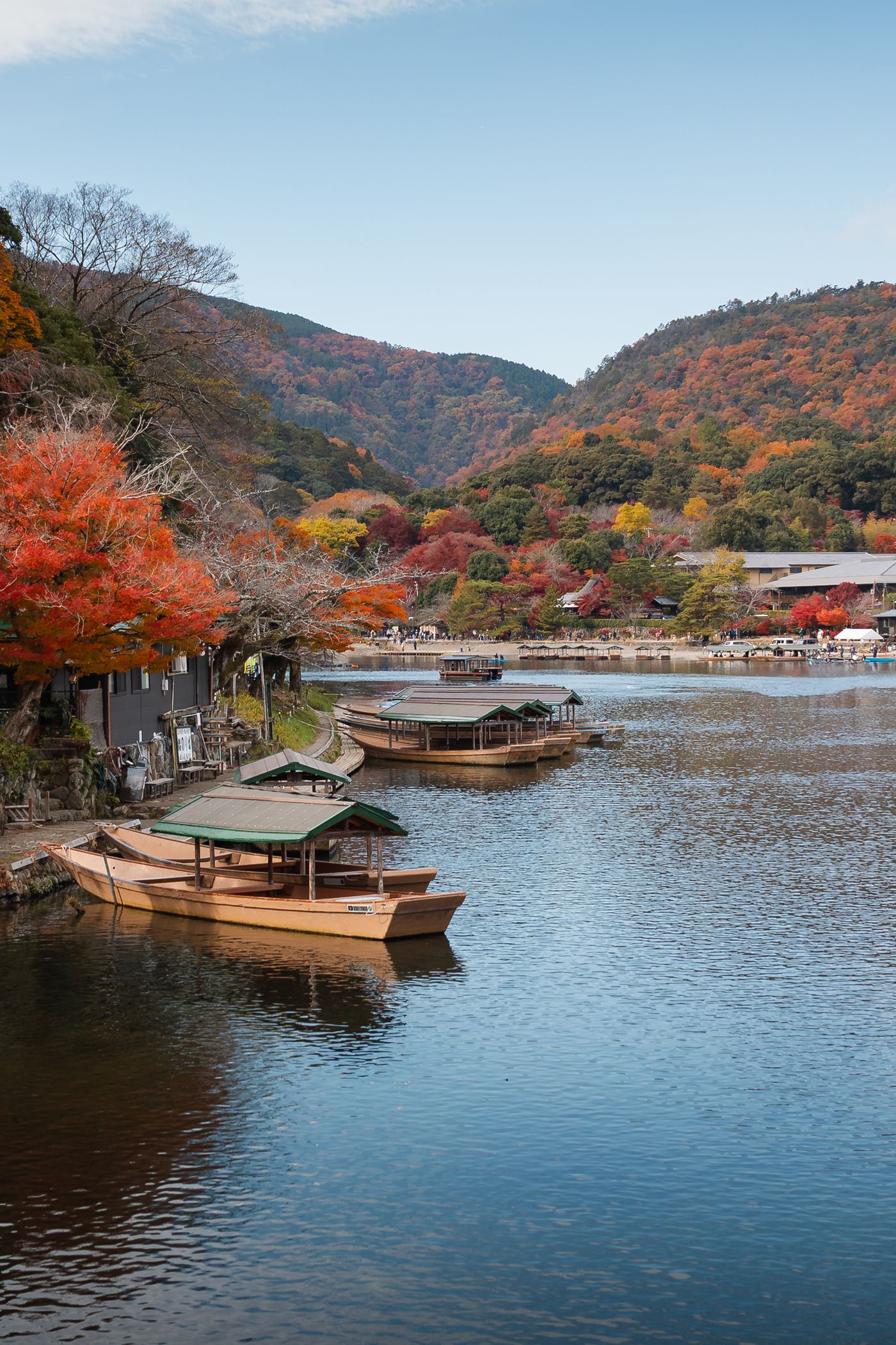 Kyoto autumn leaves in Arashiyama: Hozu River boats below hills of red and orange maples