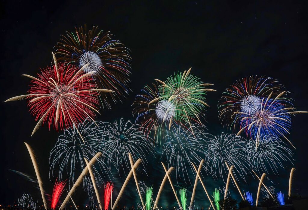 Edogawa Fireworks &mdash; fireworks in Japan