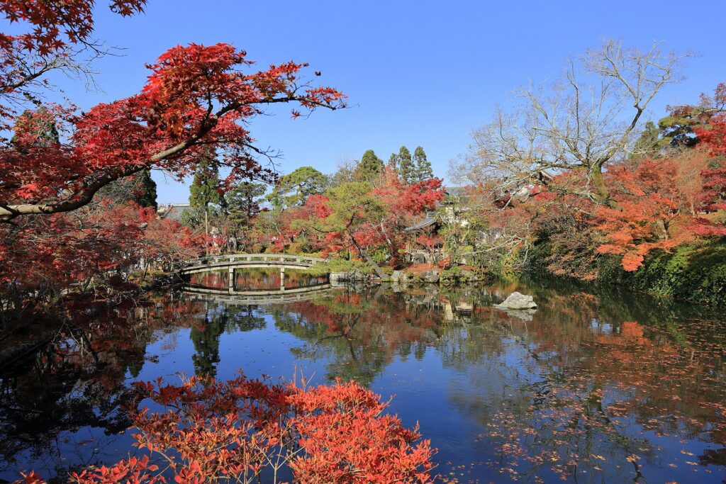 Autumn leaves at Eikando (Zenrin-ji), Kyoto