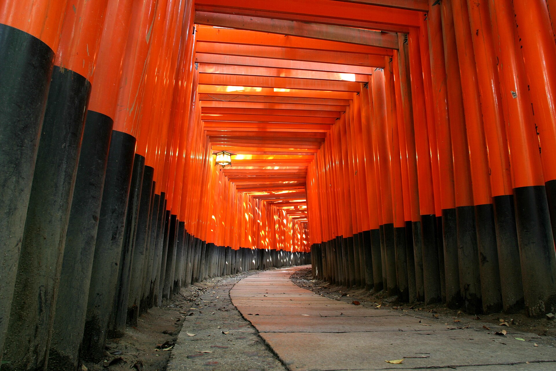 Fushimi Inari torii gates on the mountain path in Kyoto
