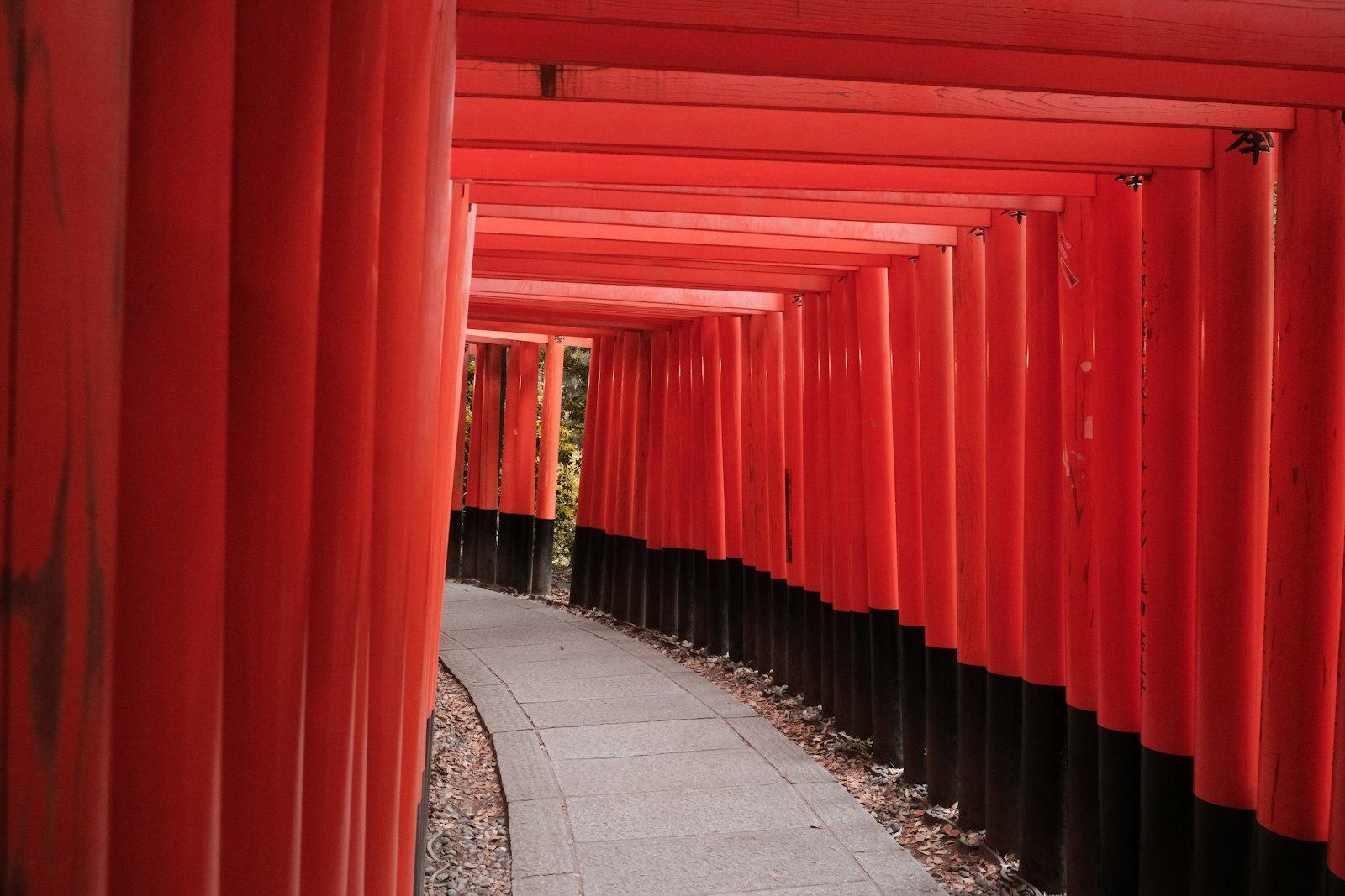 Corridor of red torii gates at Fushimi Inari Taisha in Kyoto