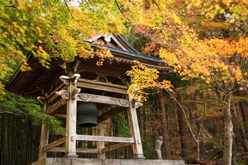 Autumn leaves at a shrine in Hakone