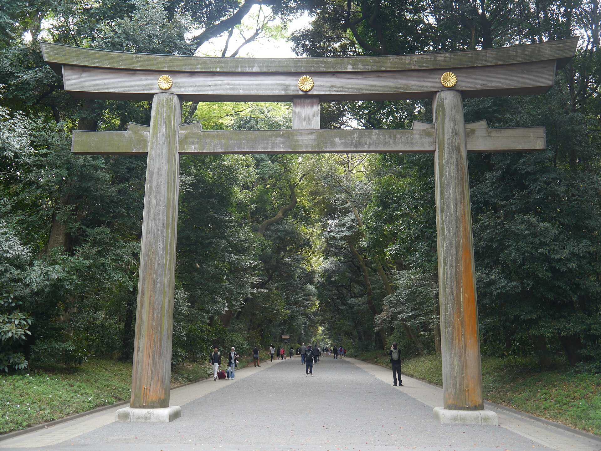 Wooden torii at Meiji Jingu