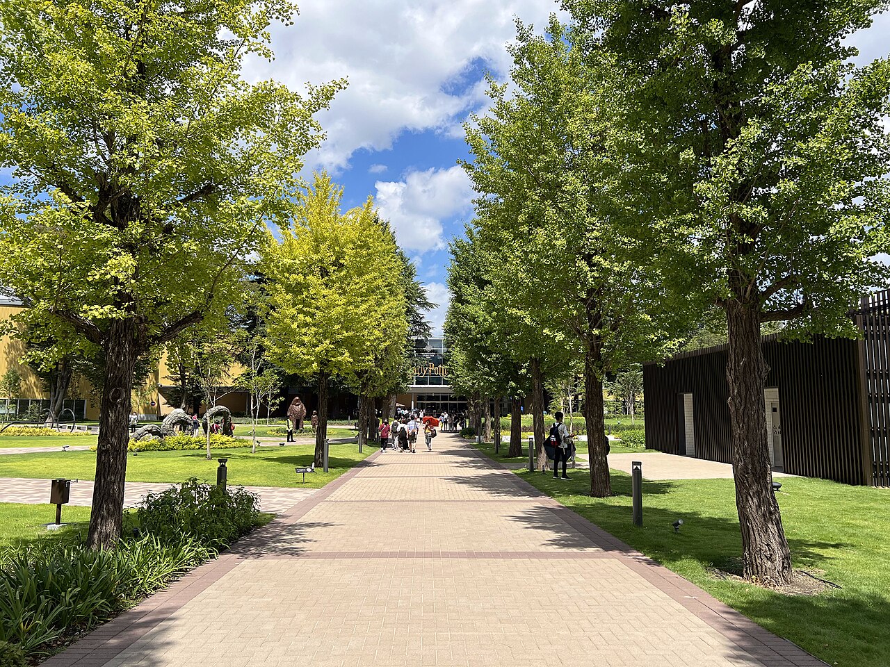 Ginkgo-lined walkway leading to the Warner Bros. Studio Tour Tokyo entrance