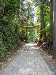 Hiking near Tokyo: forest trail on Mt Takao