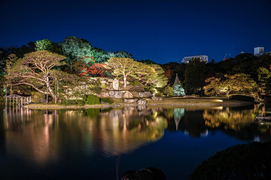 Pines and maples lit up at night and reflected in the pond at Rikugien Pines and maples lit up at night and reflected in the pond at Rikugien