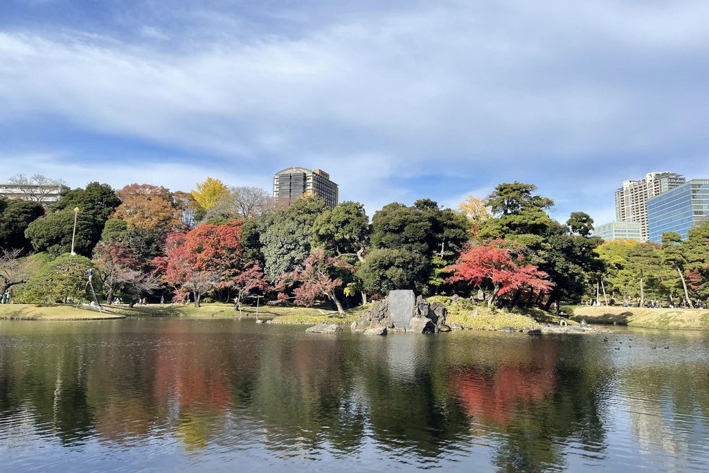 Red autumn leaves around the Daisensui pond at Koishikawa Korakuen, reflected in the water Red autumn leaves around the Daisensui pond at Koishikawa Korakuen, reflected in the water