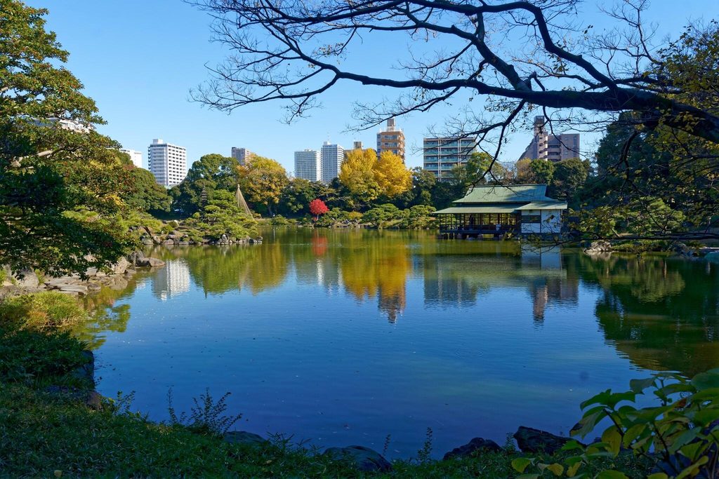 The Ryotei teahouse on the pond at Kiyosumi Garden, with yellow ginkgo and a red maple behind it The Ryotei teahouse on the pond at Kiyosumi Garden, with yellow ginkgo and a red maple behind it