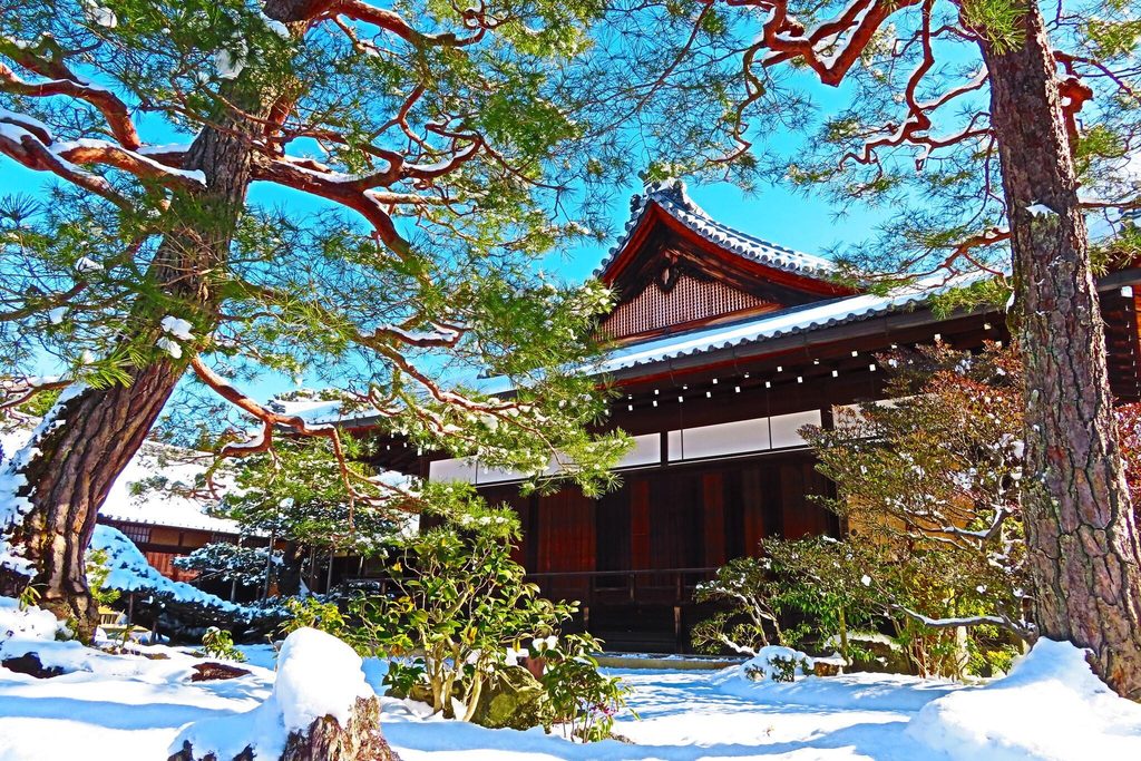 A temple and its pines under fresh snow, a sight central Kyoto gets only on rare mornings A temple and its pines under fresh snow, a sight central Kyoto gets only on rare mornings