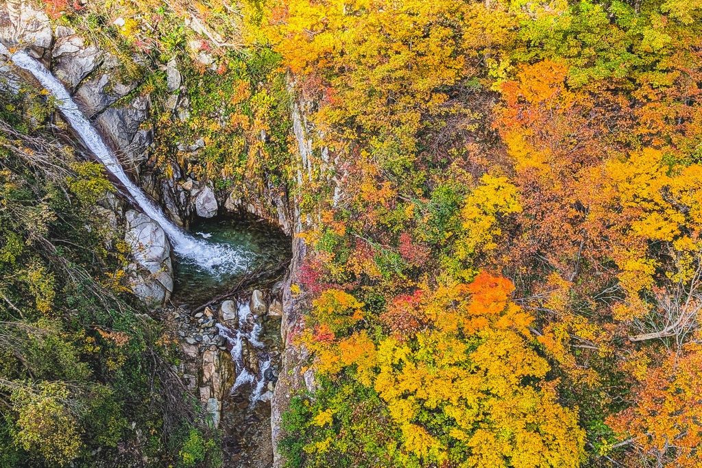 A waterfall among yellow and orange leaves, seen from high above A waterfall among yellow and orange leaves, seen from high above