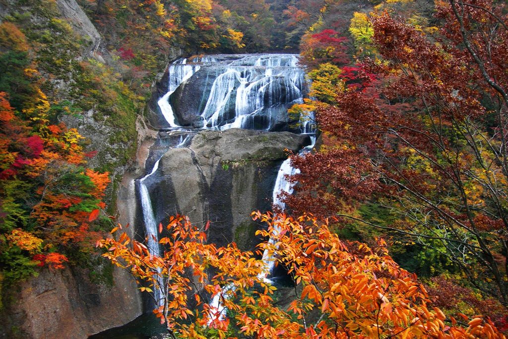 Fukuroda Falls dropping down its rock wall between red, orange and yellow leaves Fukuroda Falls dropping down its rock wall between red, orange and yellow leaves