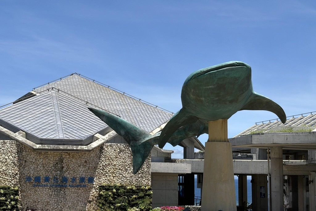 The whale shark statue outside Okinawa Churaumi Aquarium, home to Japan's biggest viewing tank The whale shark statue outside Okinawa Churaumi Aquarium, home to Japan's biggest viewing tank