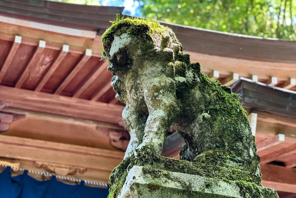 A moss-covered stone komainu, a guardian lion-dog, beneath the vermilion eaves of a shrine hall A moss-covered stone komainu, a guardian lion-dog, beneath the vermilion eaves of a shrine hall
