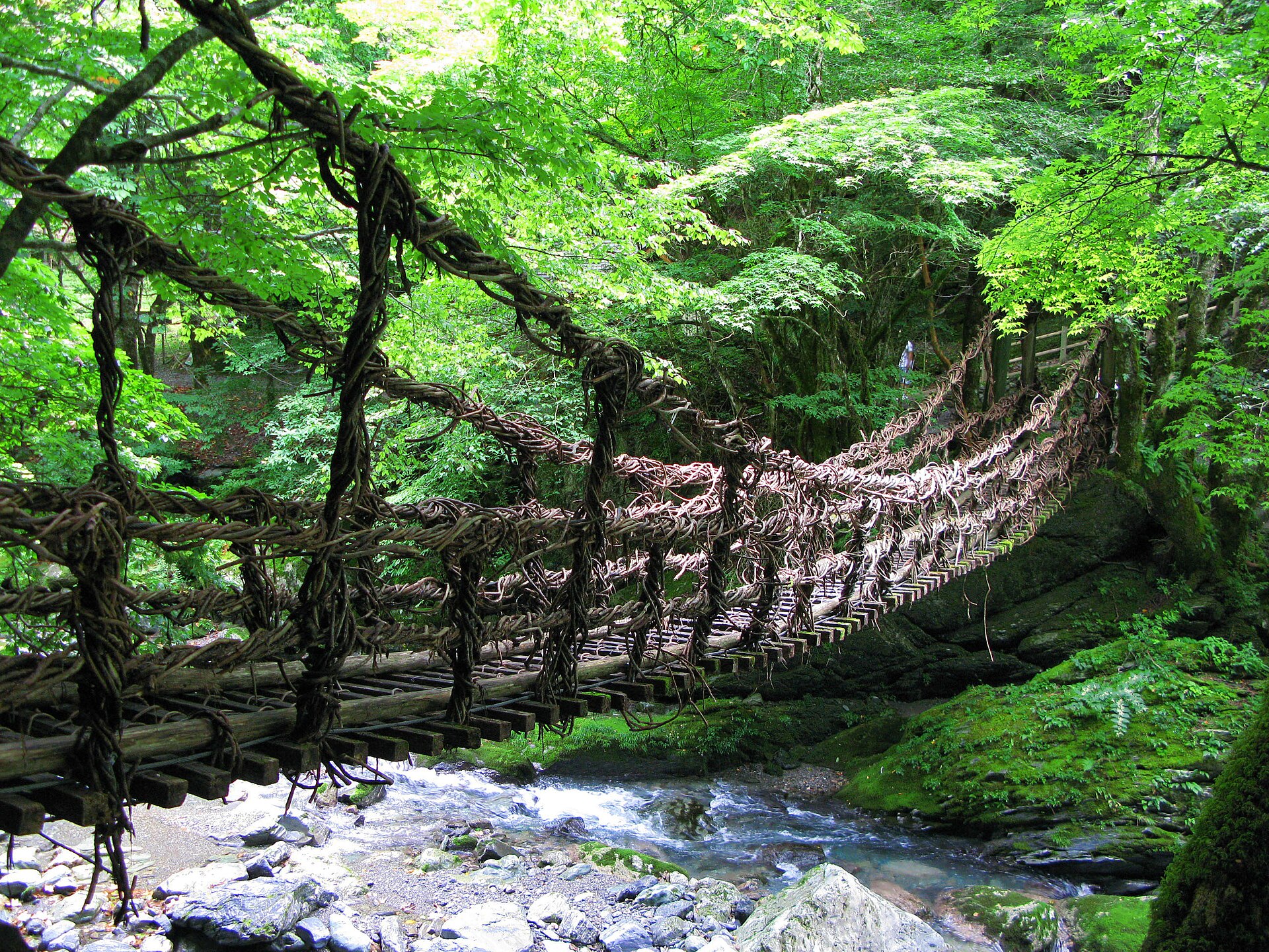 Oku-Iya double vine bridges, Higashi-Iya