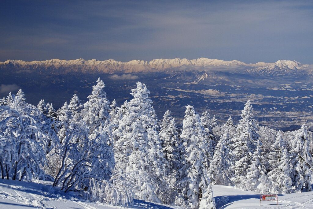 Winter at Shiga Kogen, Japan