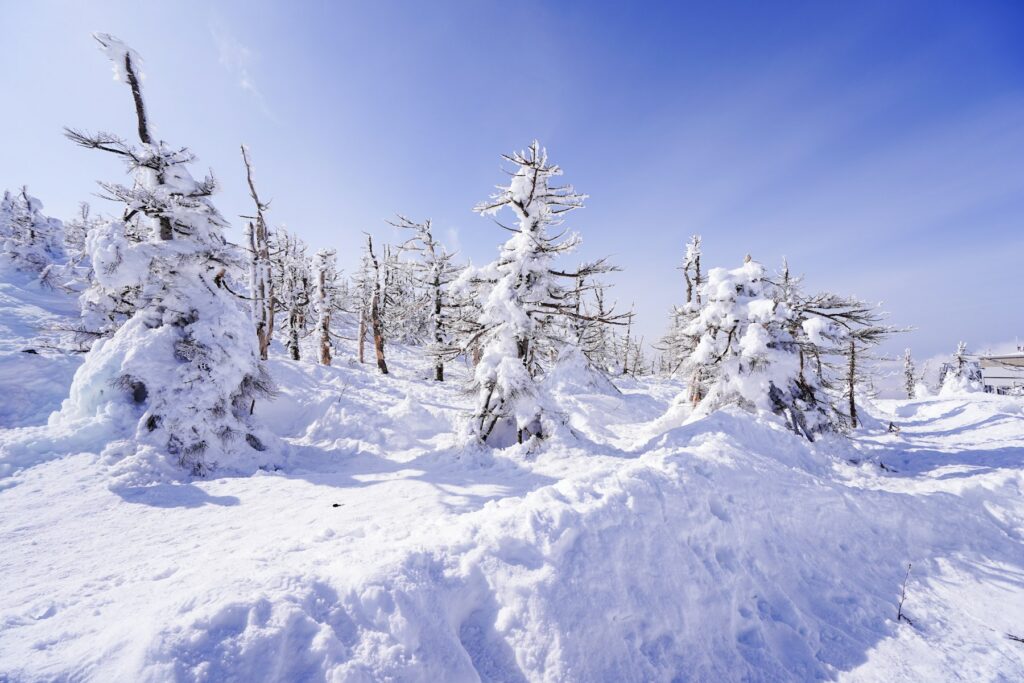 Winter at Zao Onsen Ski Resort, Japan