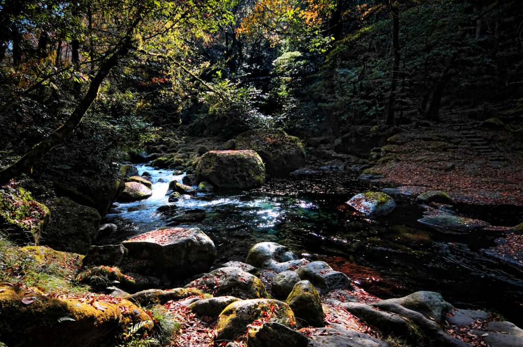 Autumn leaves at Kikuchi Gorge, Kumamoto, Japan