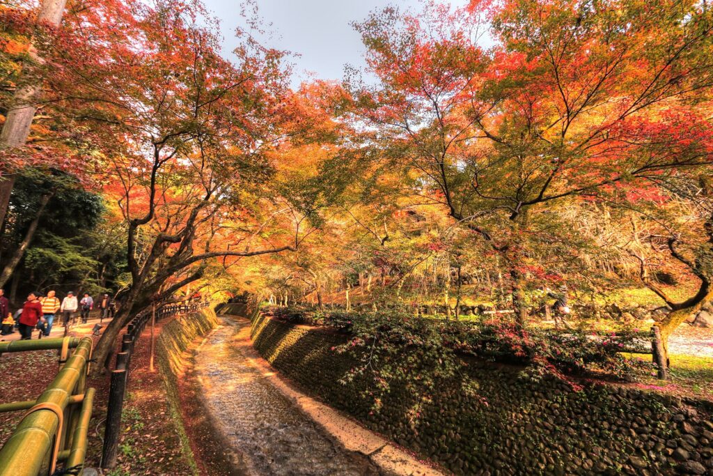 Autumn leaves at Kitano Tenmangu Momiji-en, Kyoto