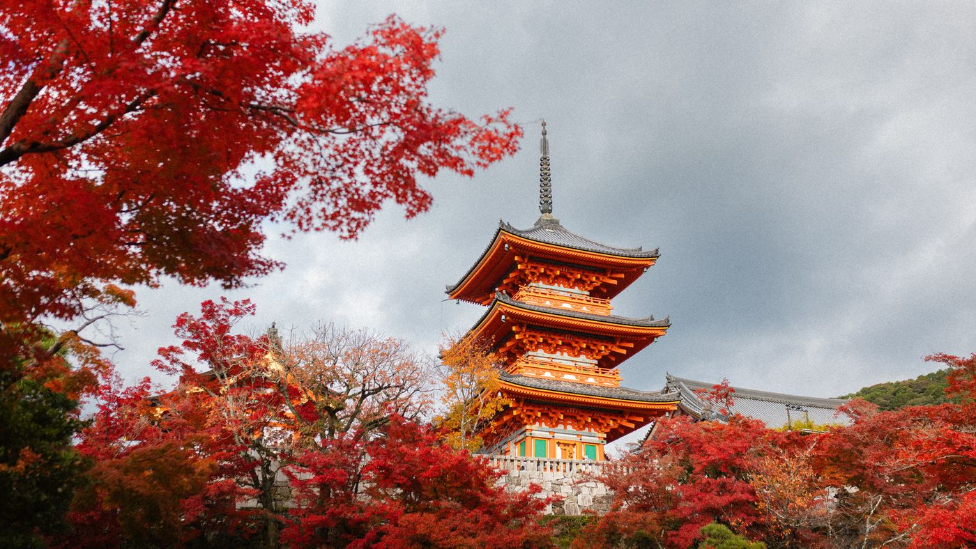 Kiyomizu-dera three-storey pagoda in Kyoto with red autumn maples
