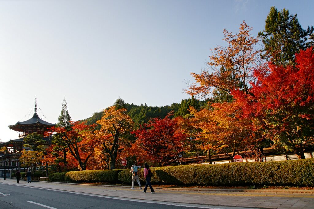 Autumn leaves at Koyasan, Wakayama, Japan