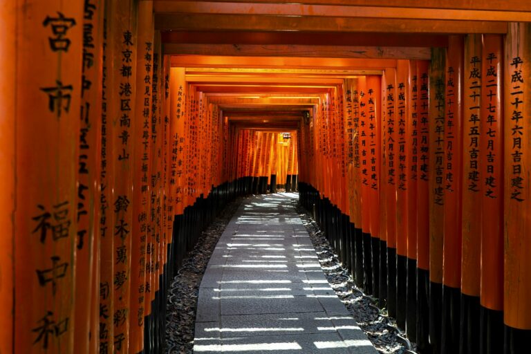 Kyoto and nara day tour: Stone path through a tunnel of orange torii gates at Fushimi Inari Taisha, Kyoto
