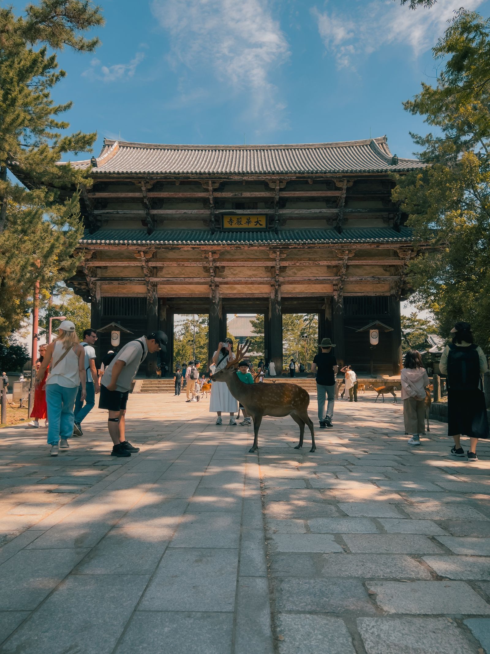 Visitors and deer at Nandaimon Gate in Nara Park on a Kyoto and Nara day tour
