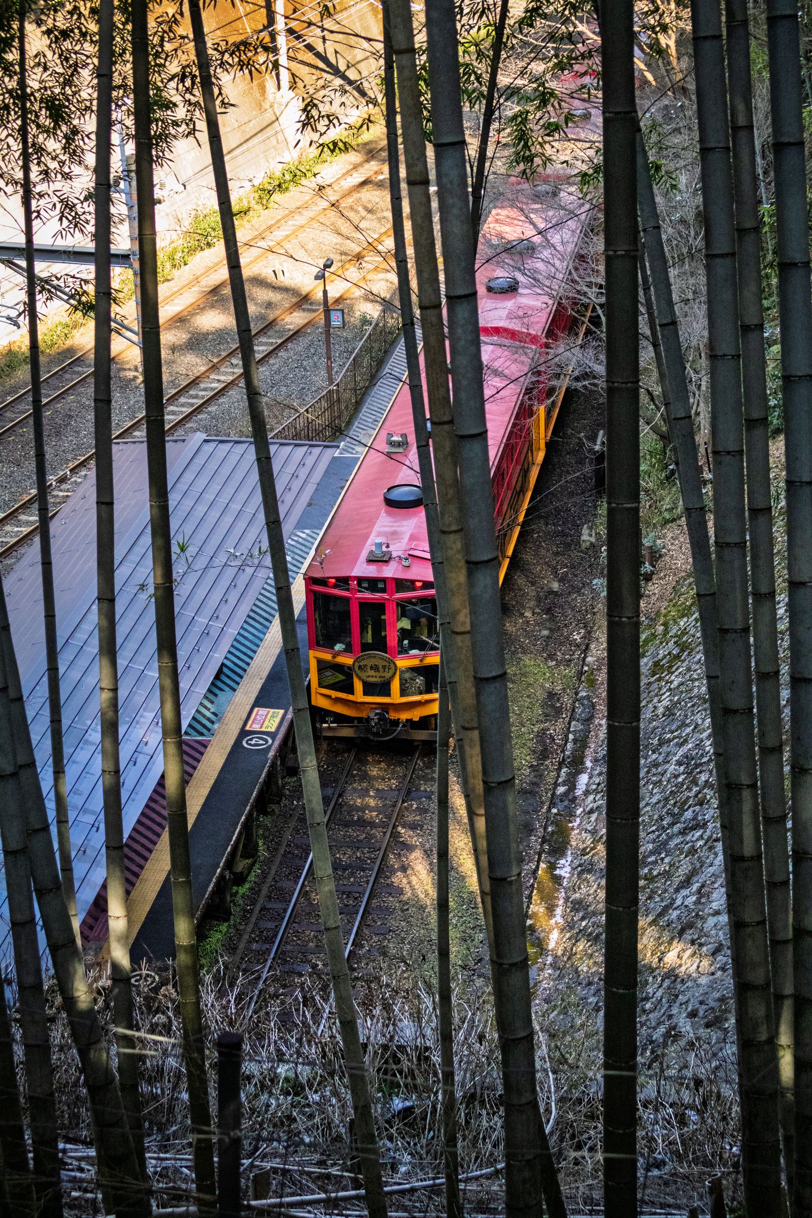 Sagano Romantic Train passing bamboo in Arashiyama, Kyoto