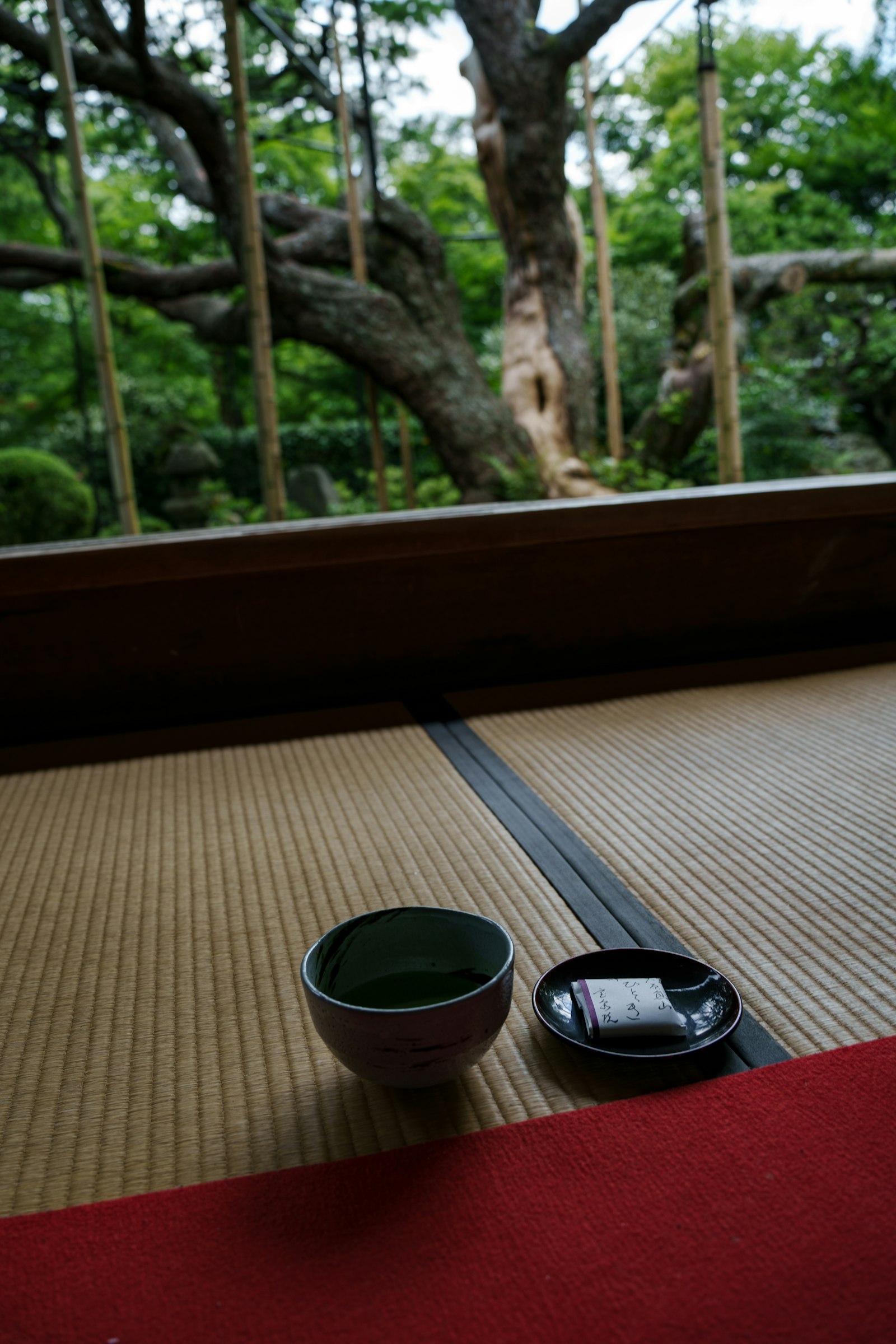 Matcha and a Japanese sweet on tatami overlooking a garden
