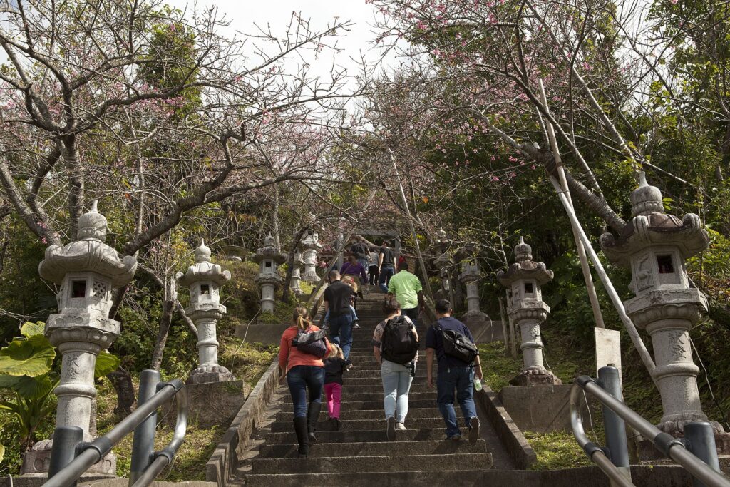 Nago Cherry Blossom Festival, Okinawa, Japan