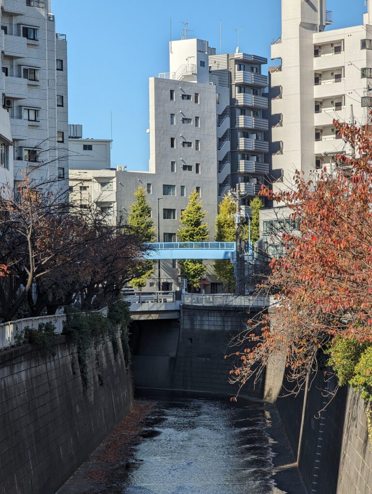 Nakameguro guide: the Meguro River canal