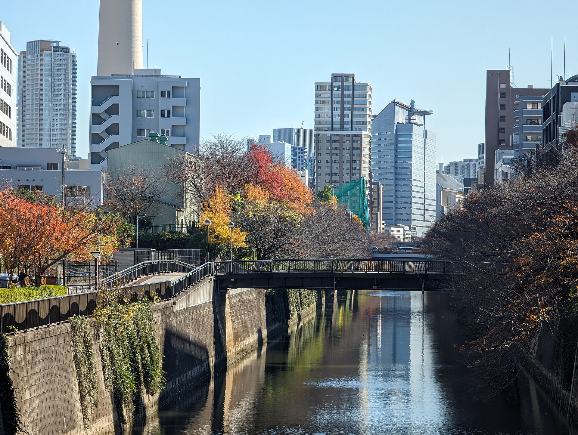 Walking path along the Meguro River