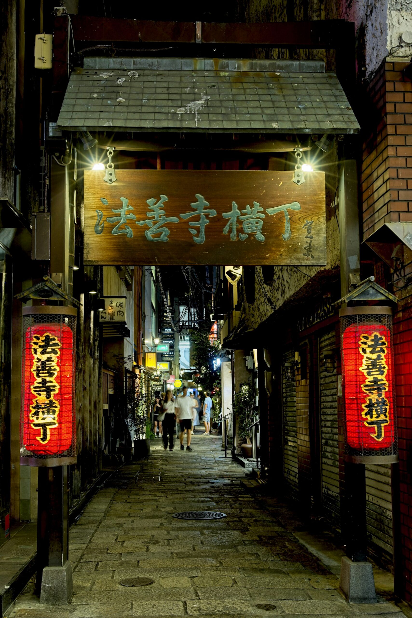 Hozenji Yokocho stone-paved alley with red lanterns at night in Namba