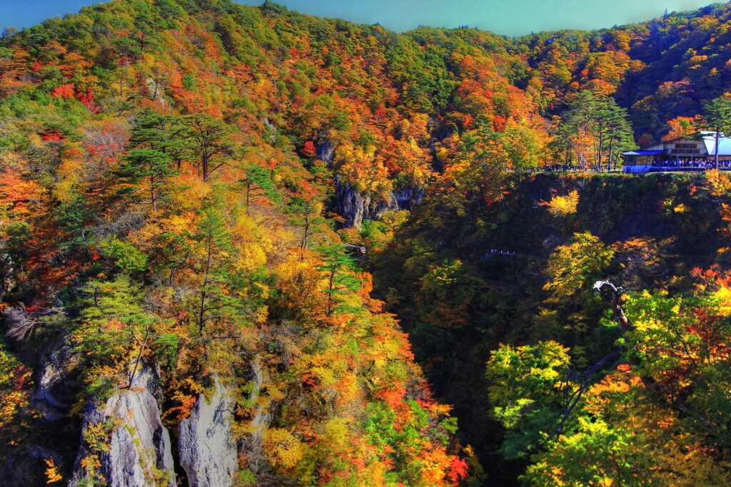 Autumn leaves at Naruko Gorge, Miyagi, Japan