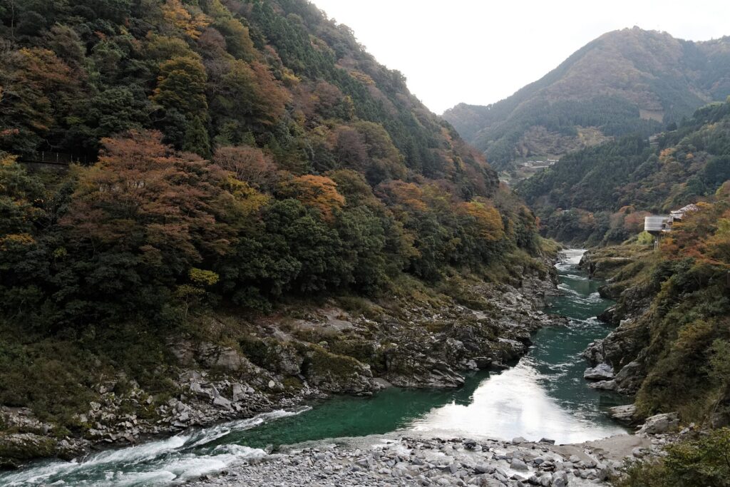 Autumn leaves at Oboke and Koboke gorges, Tokushima, Japan