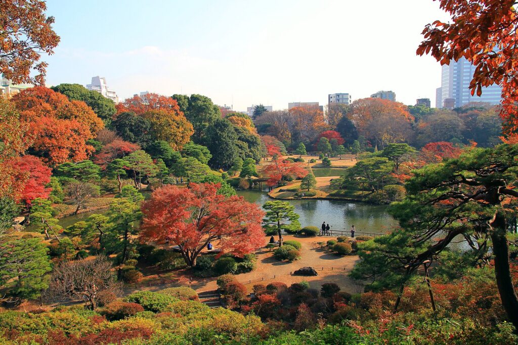 Late autumn leaves at Rikugien garden, Tokyo