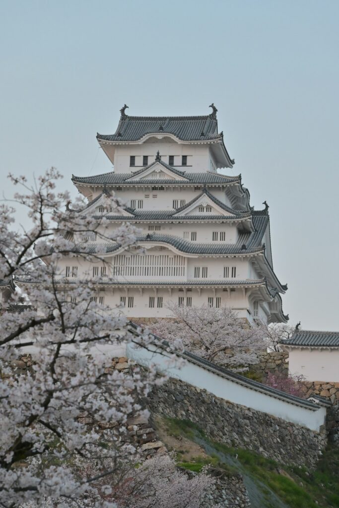 夕暮れの桜に囲まれた姫路城