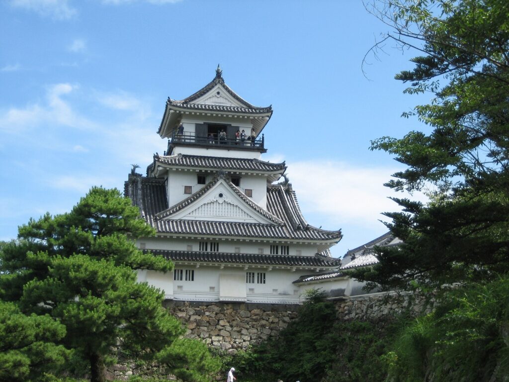 Kochi Castle in cherry blossom season