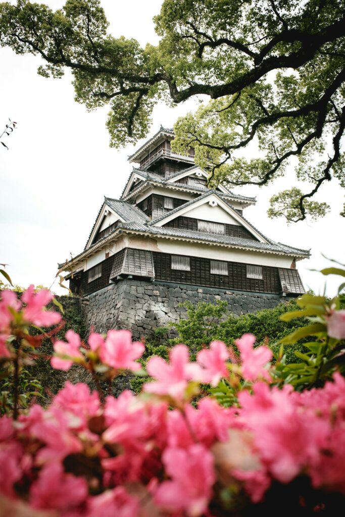 桜の季節の熊本城（桜シーズン）