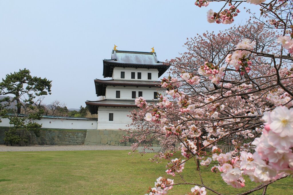 Matsumae Park in cherry blossom season