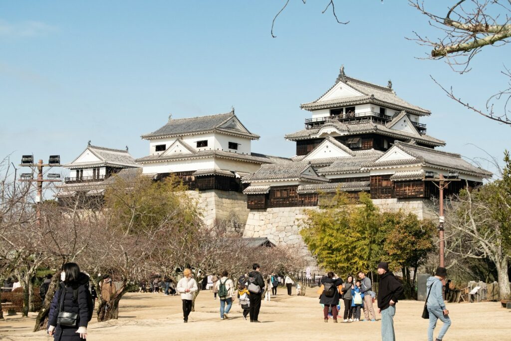 桜の季節の松山城（愛媛）