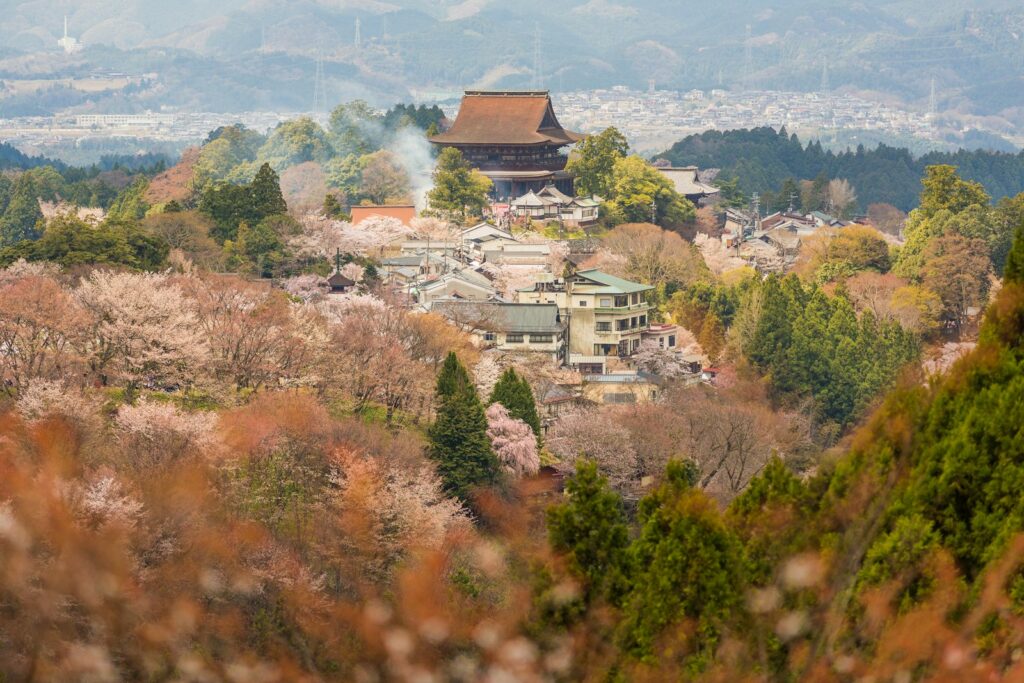 奈良・吉野山の寺院を囲む桜（桜の季節）