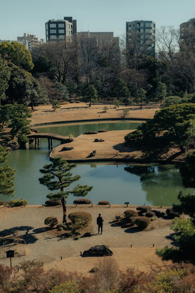 桜の季節の六義園（東京）