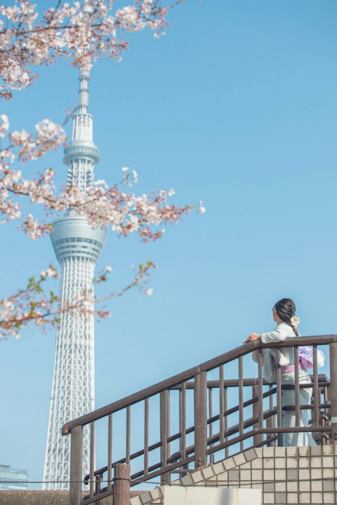 隅田川沿いの桜と東京スカイツリー（桜の季節）