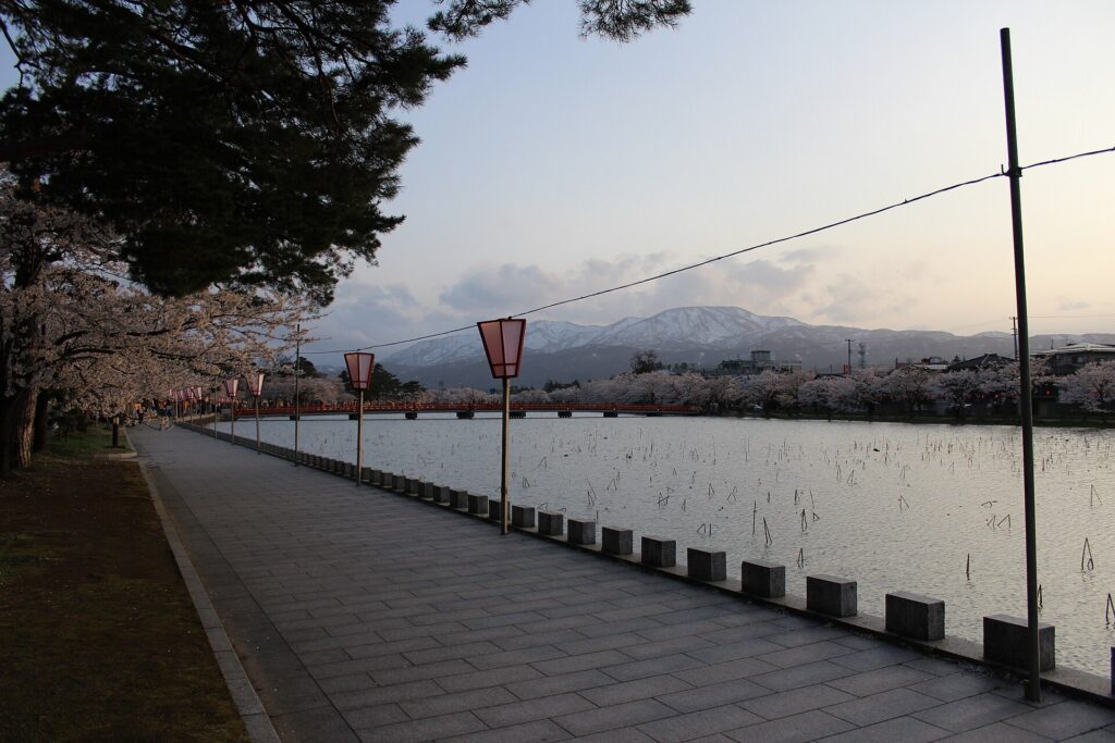 Takada Castle Ruins Park in cherry blossom season